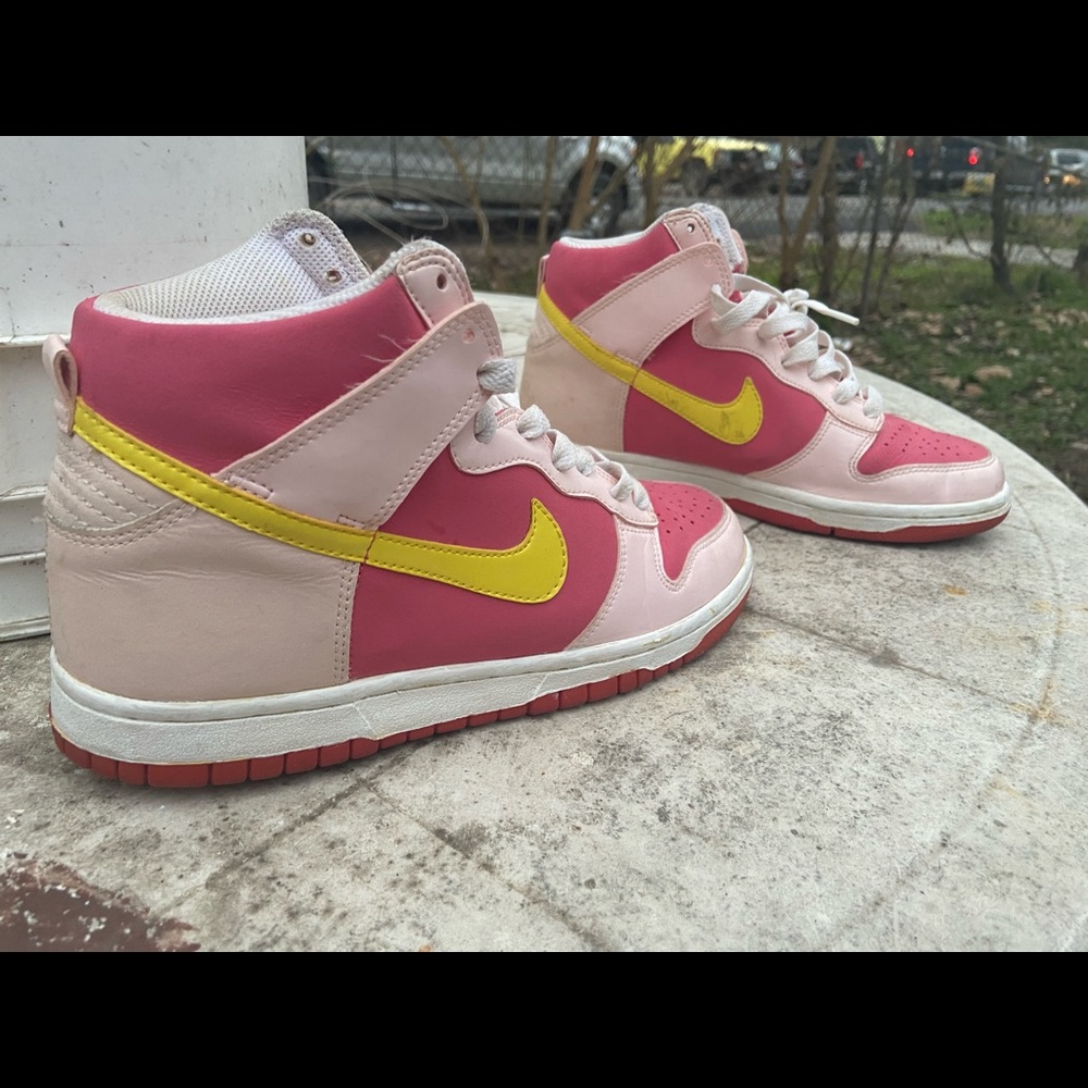 Nike Dunk High